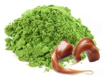 Caramel Matcha - Naturally flavored matcha green tea powder. 15-20 servings