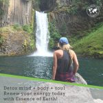 Reduce Bloating